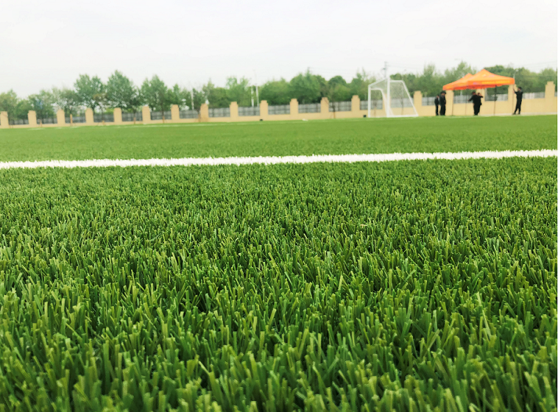 FIFA认证人造草坪